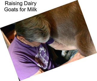 Raising Dairy Goats for Milk