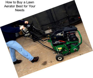 How to Buy a Lawn Aerator Best for Your Needs