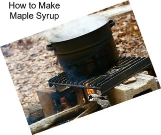 How to Make Maple Syrup