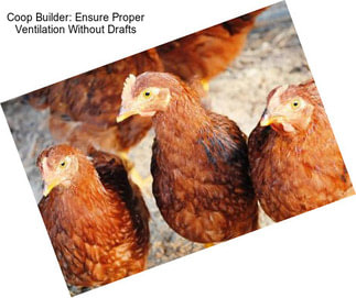 Coop Builder: Ensure Proper Ventilation Without Drafts