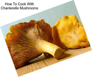 How To Cook With Chanterelle Mushrooms