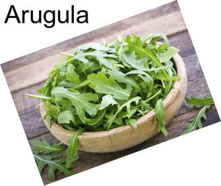 Arugula