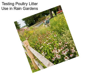 Testing Poultry Litter Use in Rain Gardens