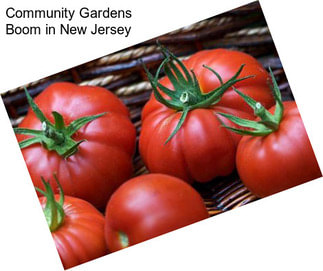 Community Gardens Boom in New Jersey
