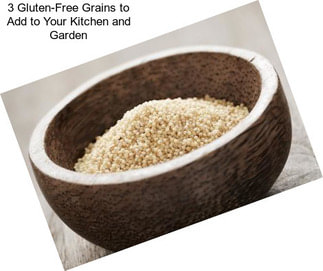 3 Gluten-Free Grains to Add to Your Kitchen and Garden