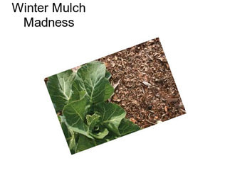 Winter Mulch Madness