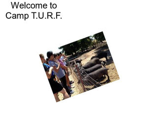 Welcome to Camp T.U.R.F.