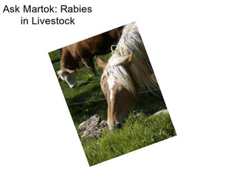 Ask Martok: Rabies in Livestock