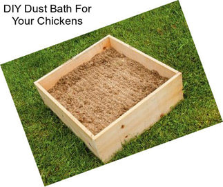 DIY Dust Bath For Your Chickens