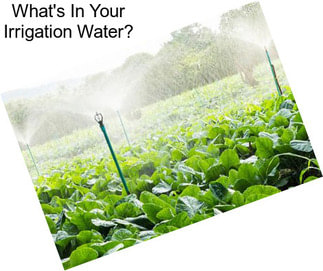 What\'s In Your Irrigation Water?