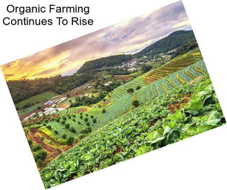 Organic Farming Continues To Rise