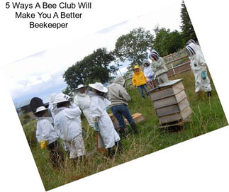 5 Ways A Bee Club Will Make You A Better Beekeeper