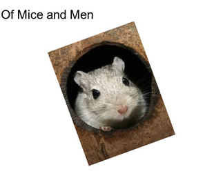 Of Mice and Men