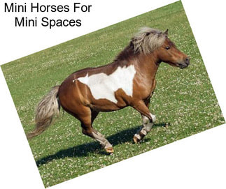 Mini Horses For Mini Spaces