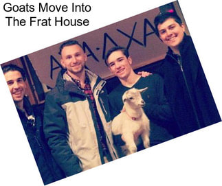Goats Move Into The Frat House