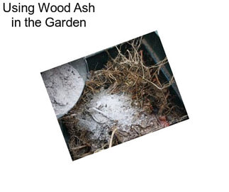 Using Wood Ash in the Garden