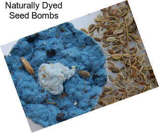 Naturally Dyed Seed Bombs