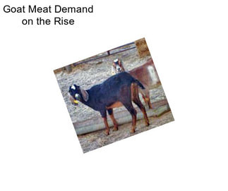 Goat Meat Demand on the Rise