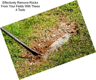 Effectively Remove Rocks From Your Fields With These 4 Tools