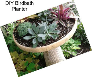 DIY Birdbath Planter