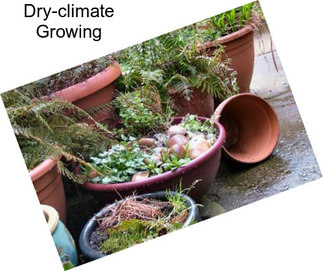 Dry-climate Growing