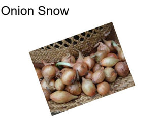 Onion Snow