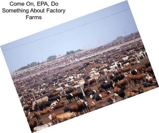 Come On, EPA, Do Something About Factory Farms