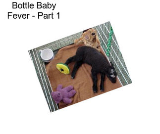 Bottle Baby Fever - Part 1