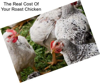 The Real Cost Of Your Roast Chicken