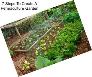7 Steps To Create A Permaculture Garden