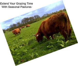 Extend Your Grazing Time With Seasonal Pastures