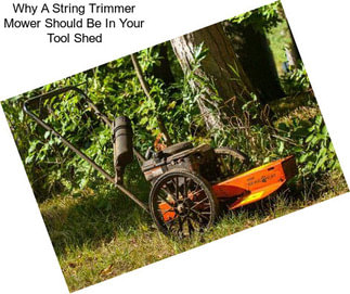 Why A String Trimmer Mower Should Be In Your Tool Shed