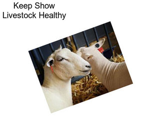 Keep Show Livestock Healthy