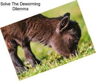 Solve The Deworming Dilemma