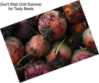 Don\'t Wait Until Summer for Tasty Beets