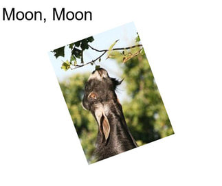 Moon, Moon