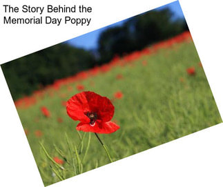The Story Behind the Memorial Day Poppy