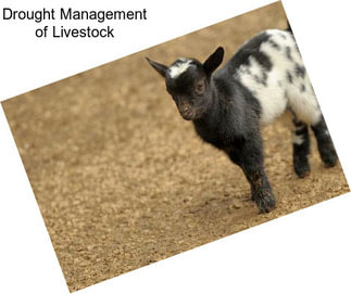 Drought Management of Livestock