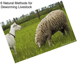 6 Natural Methods for Deworming Livestock