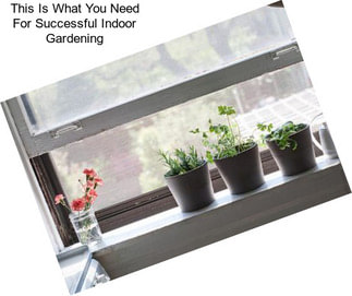 This Is What You Need For Successful Indoor Gardening