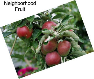Neighborhood Fruit