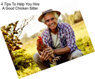 4 Tips To Help You Hire A Good Chicken Sitter