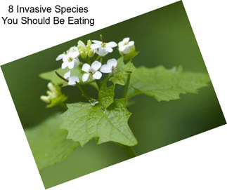 8 Invasive Species You Should Be Eating