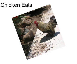 Chicken Eats