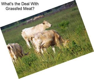 What\'s the Deal With Grassfed Meat?