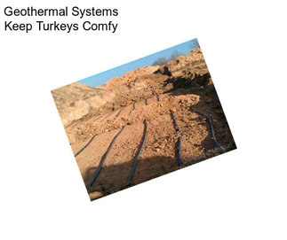 Geothermal Systems Keep Turkeys Comfy