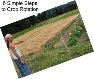 6 Simple Steps to Crop Rotation