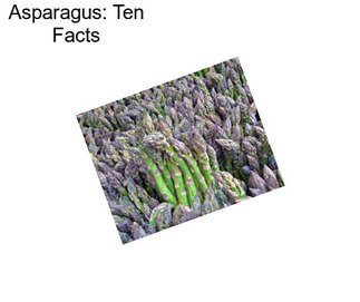 Asparagus: Ten Facts