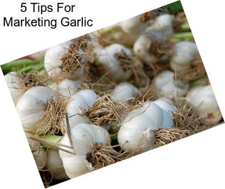 5 Tips For Marketing Garlic