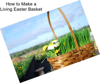 How to Make a Living Easter Basket